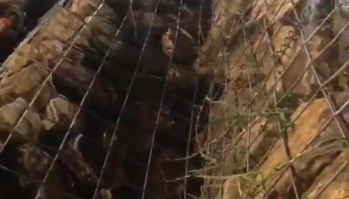 Rincon Del Reducto Baby Futbol Descuentos - Montevideo