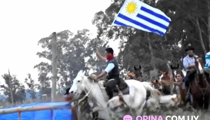 Rincon Floridense Del Propietario - Florida