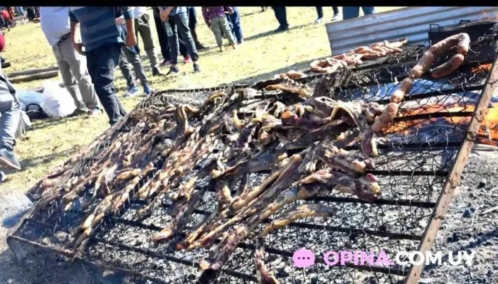 Rincon Floridense Todo - Florida