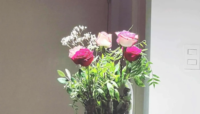 Rivera Flores -  Como Llegar - Montevideo