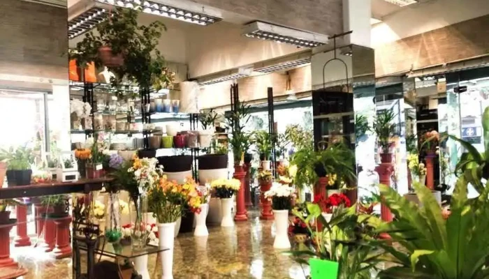 Rivera Flores -  Interior - Montevideo