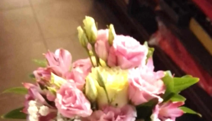 Rivera Flores -  Precios - Montevideo