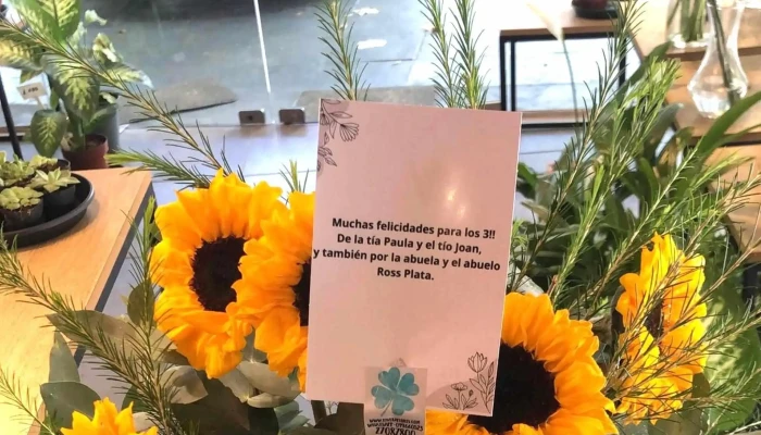 Rivera Flores -  Ubicacion - Montevideo