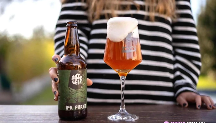 Rocco Beer -  Comidas Y Bebidas - Ciudad de la Costa