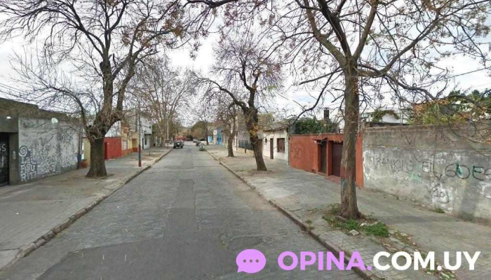 Rollito de Pos - Montevideo