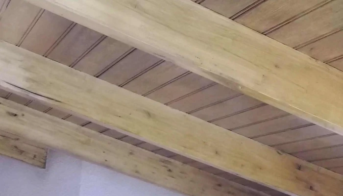 Rotary Club Progreso -  Opiniones - Progreso