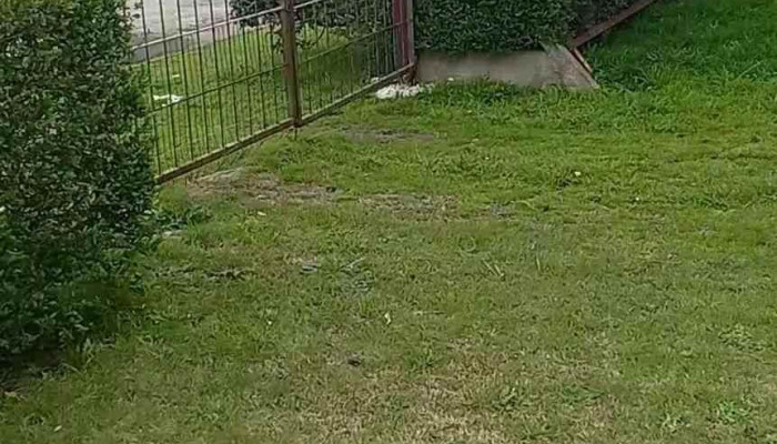 Rotary Club Tarariras -  Videos - Tarariras