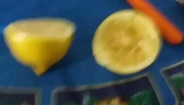 Roti Elykafer -  Videos - Toledo