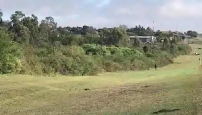 Rotiseria Los Propios -  Videos - Fray Bentos