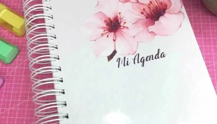 Ruchipersonalizados Del Propietario - Casarino