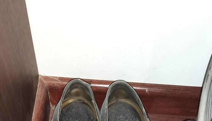 Ruggiero Negocios Imnobiliarios - Montevideo