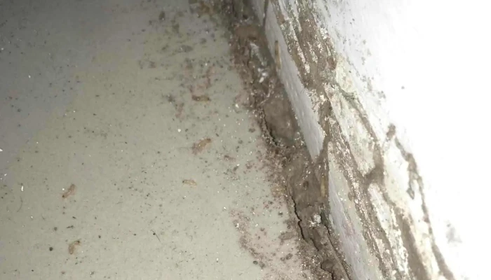 Ruggiero Negocios Imnobiliarios -  Opiniones - Montevideo