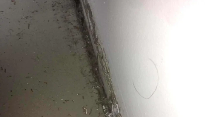 Ruggiero Negocios Imnobiliarios -  Puntaje - Montevideo