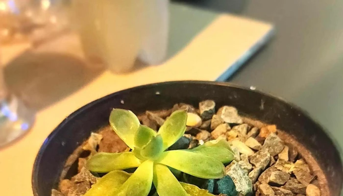 Sabina Bar -  Comentario 1 - Treinta y Tres