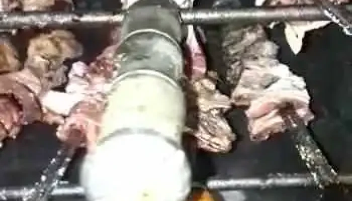 Sabor Brasileiro -  Videos - Chui