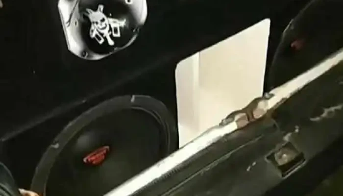 Sabrosuras -  Videos - Rivera