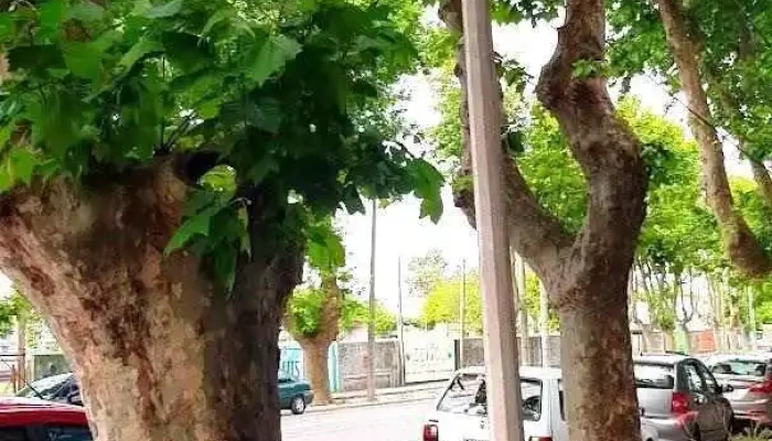 Sacra Propiedades - Col. Del Sacramento