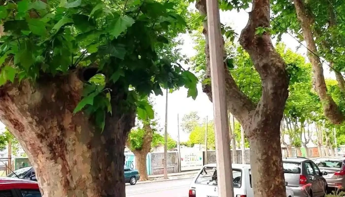 Sacra Propiedades -  Zona - Col. del Sacramento