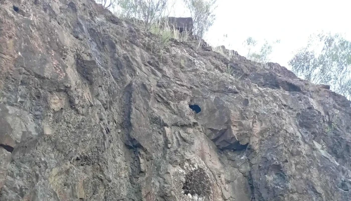 Safari Minero -  Comentario 10 - La Bolsa