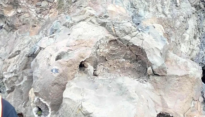 Safari Minero -  Comentario 11 - La Bolsa