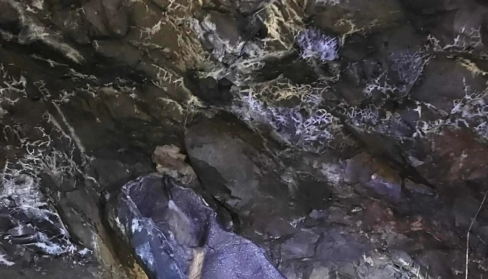 Safari Minero -  Comentario 1 - La Bolsa