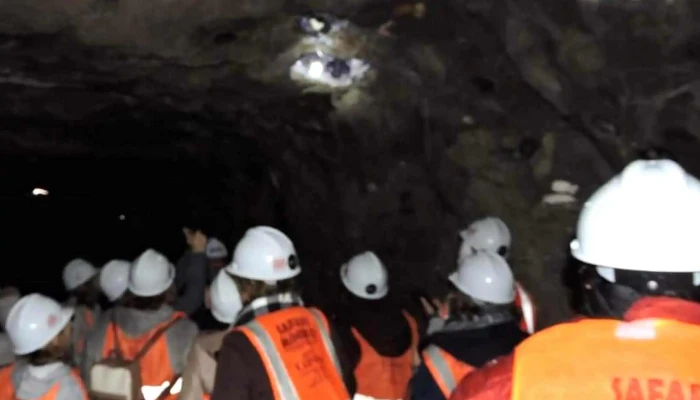 Safari Minero -  Comentario 5 - La Bolsa