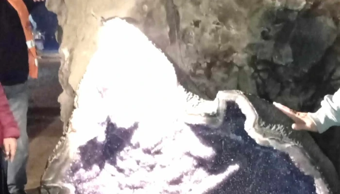 Safari Minero -  Comentario 8 - La Bolsa