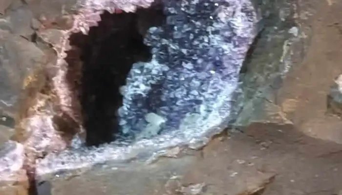 Safari Minero -  Mas Recientes - La Bolsa