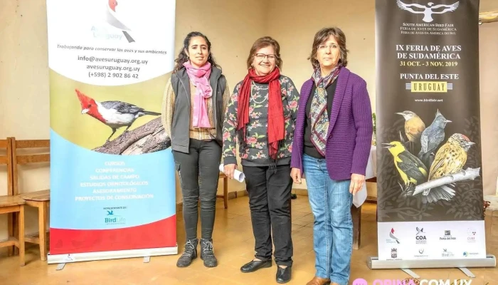 Sala Lavalleja - Durazno