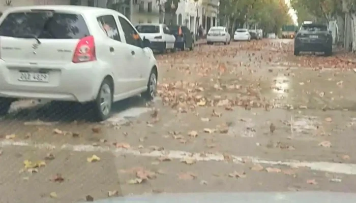 Sala Lavalleja -  Videos - Durazno