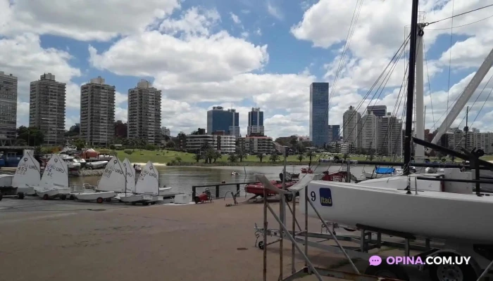 Salacia -  Videos - Montevideo