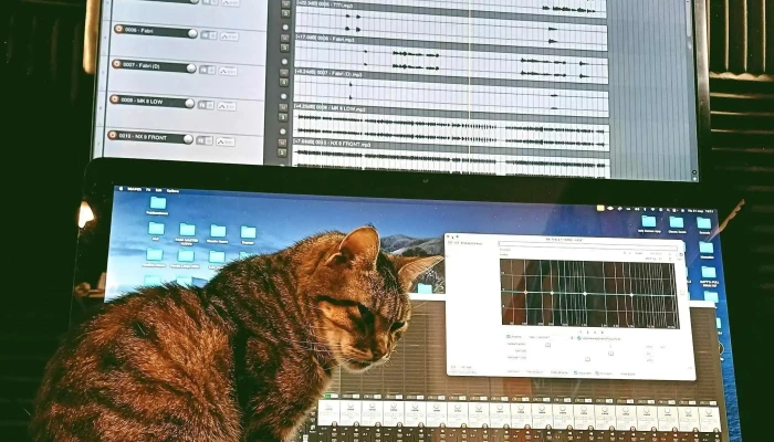 Salados Escuela De Musica Y Sonido Horario - Montevideo