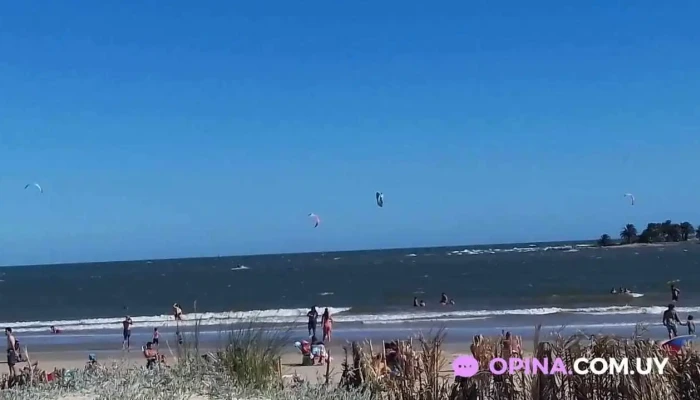 Salmuera -  Videos - Montevideo