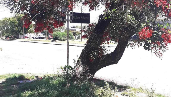 Salon Abc Precios - Paso de los Toros