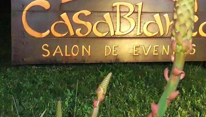 Salon Casablanca Comentario 3 - Las Toscas