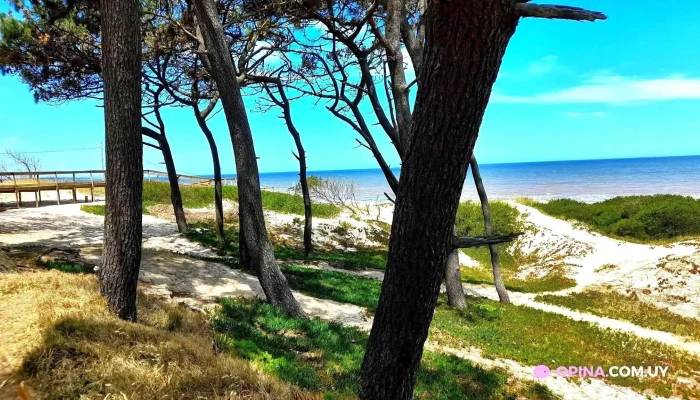 Salon Casablanca Todo - Las Toscas