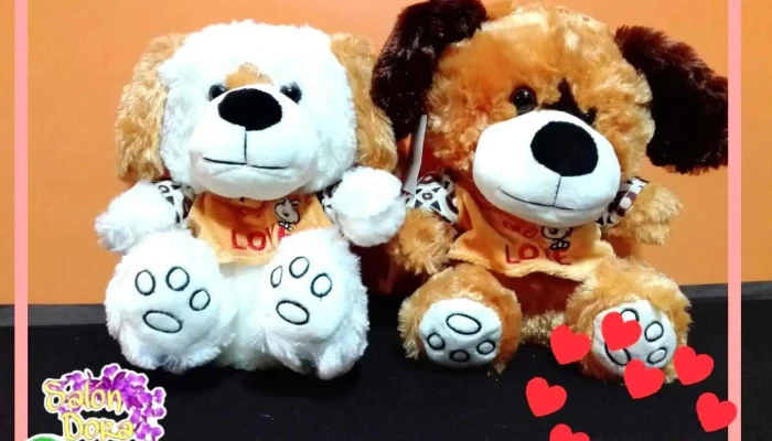 Salon Dora Papeleria Merceria Regaleria Catalogo - Montevideo