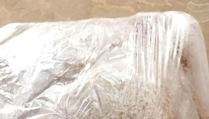 Salon Italia Zona - Santiago Vázquez