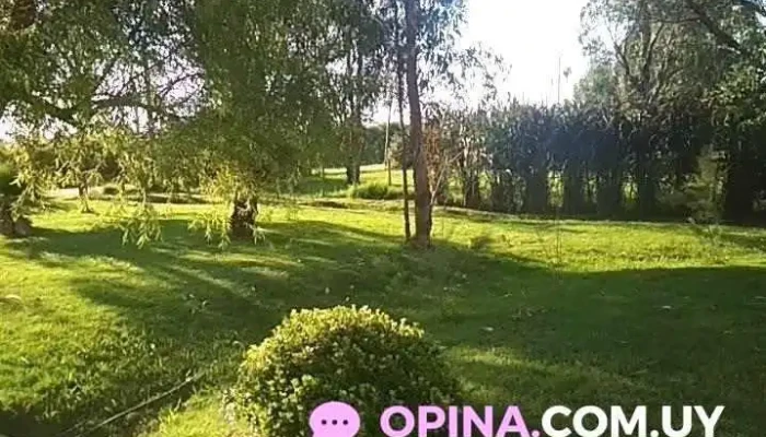 Salon La Cadena Videos - Empalme Olmos