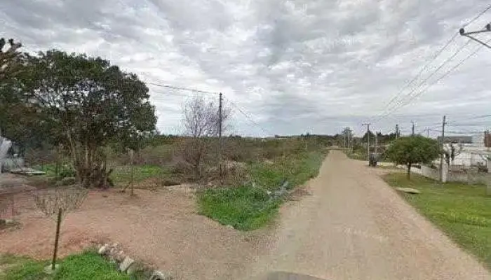 Salon La Palmera -  Todo - Pando