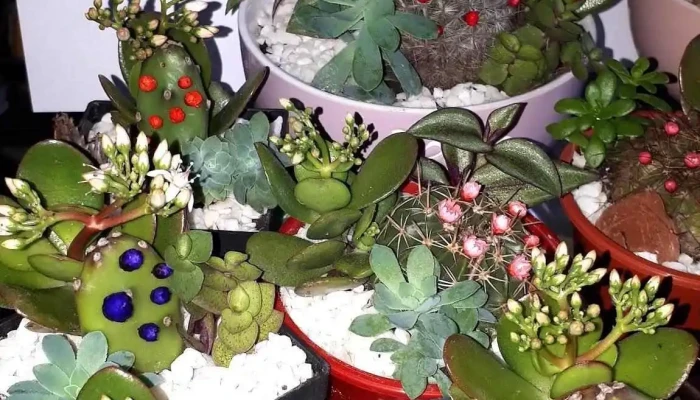 Salon Laura Ubicacion - Montevideo