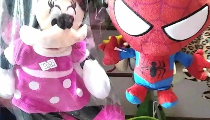 Salon Luks   Papeleria Jugueteria Interior - San José de Mayo