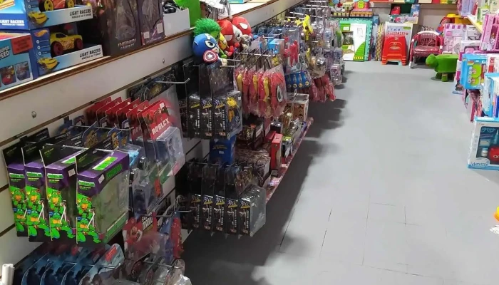 Salon Luks   Papeleria Jugueteria Zona - San José de Mayo