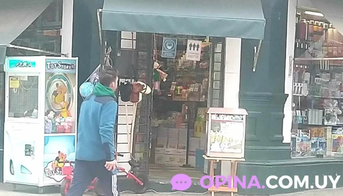 Salon Miguel Videos - Canelones