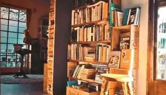 Salvandolibros -  Estante De Libros - Las Piedras