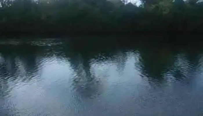 San Carlos -  Videos - San Carlos