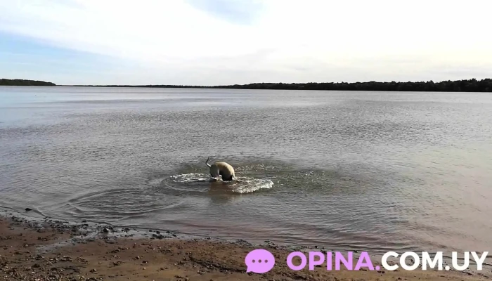 San Javier -  Videos - San Javier