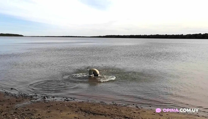 San Javier -  Videos - San Javier