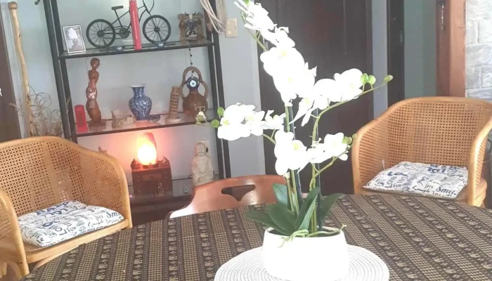 San Miguel -  Diseno Interior - Piri&aacute;polis