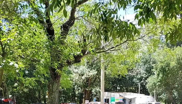 San Ramon Canelones -  Comentario 4 - San Ramón